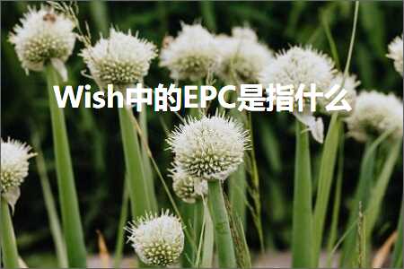 跨境电商知识:Wish中的EPC是指什么